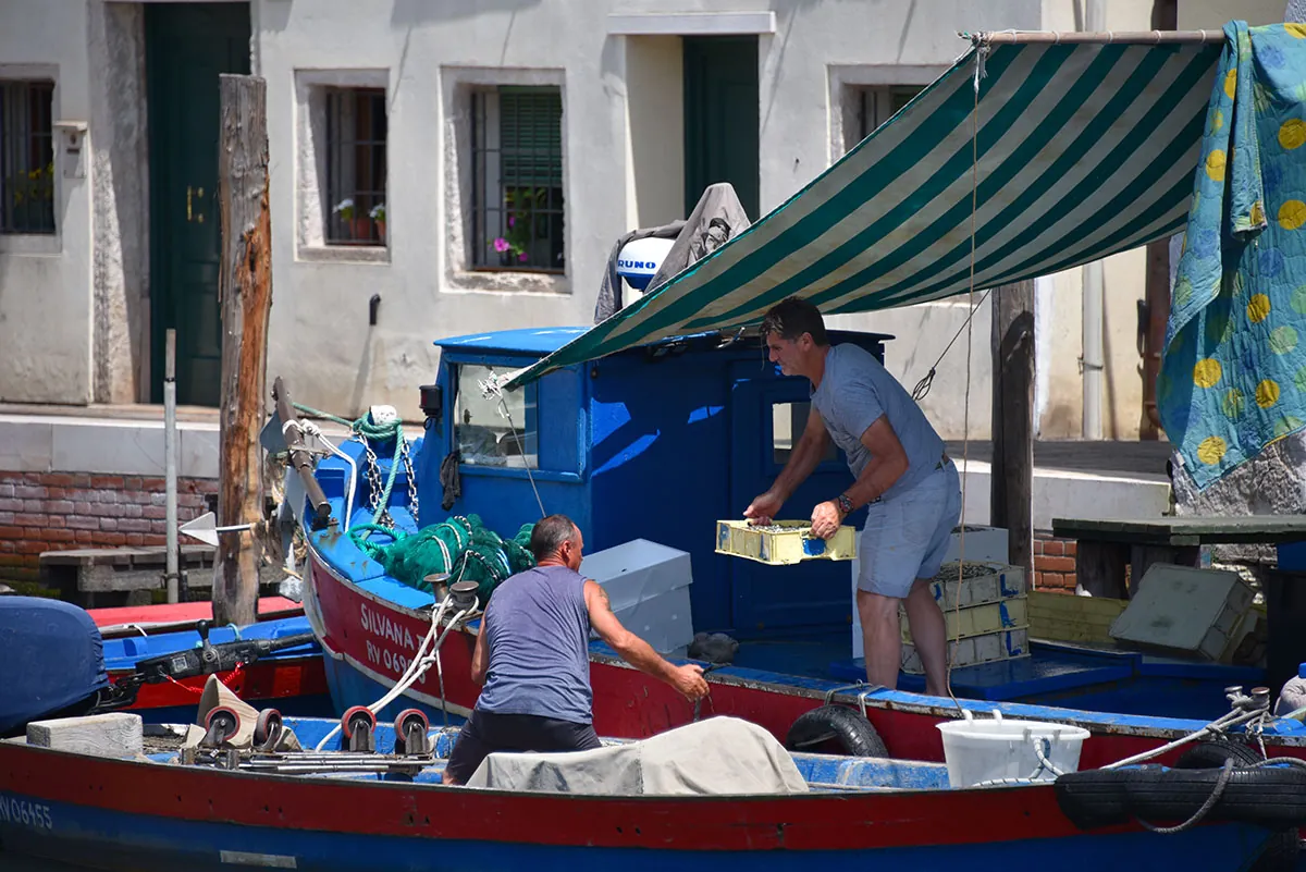 Mercato ittico di Chioggia