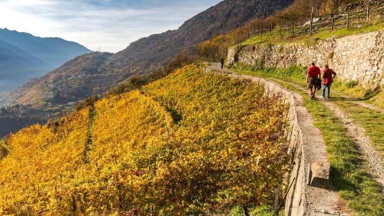Via dei Terrazzamenti in Valtellina