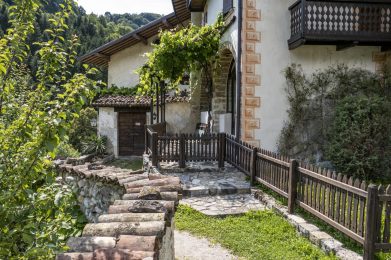 A,Wooden,Path,On,The,Backyard,Of,An,Old,House