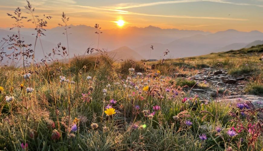 Enjoying the most beautiful moment of the day: Sunrise at Passo Giovo
