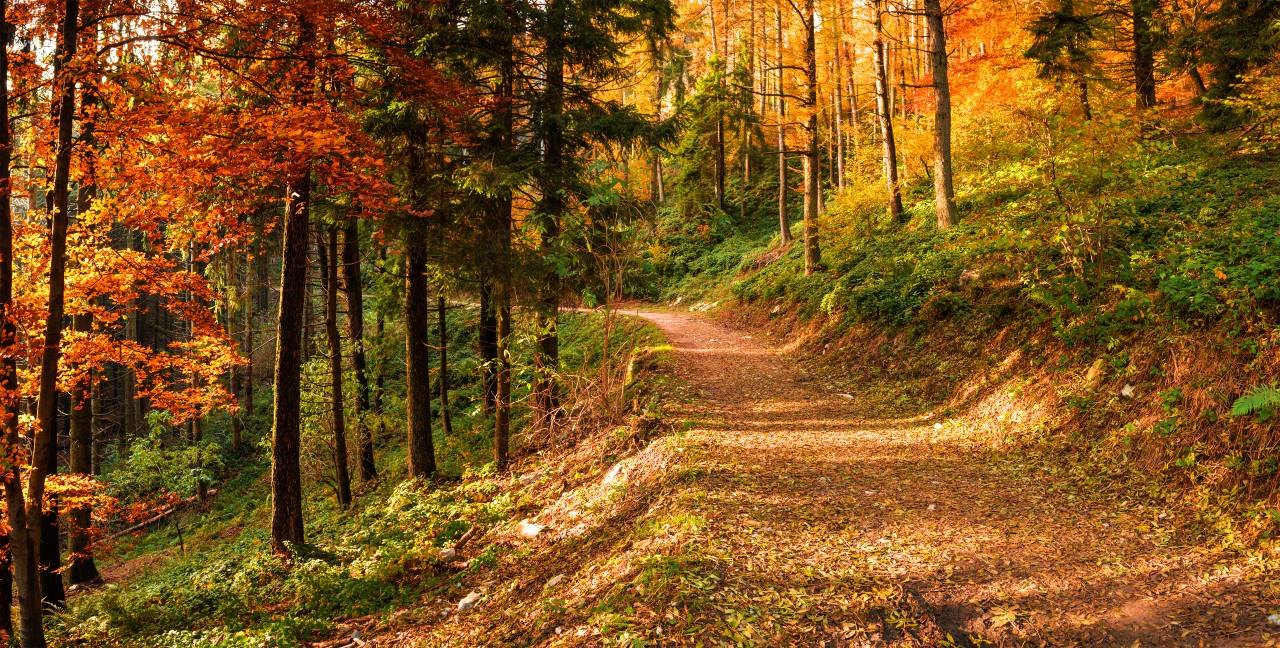 Autunno nel parco del Campo dei Fiori, sentiero