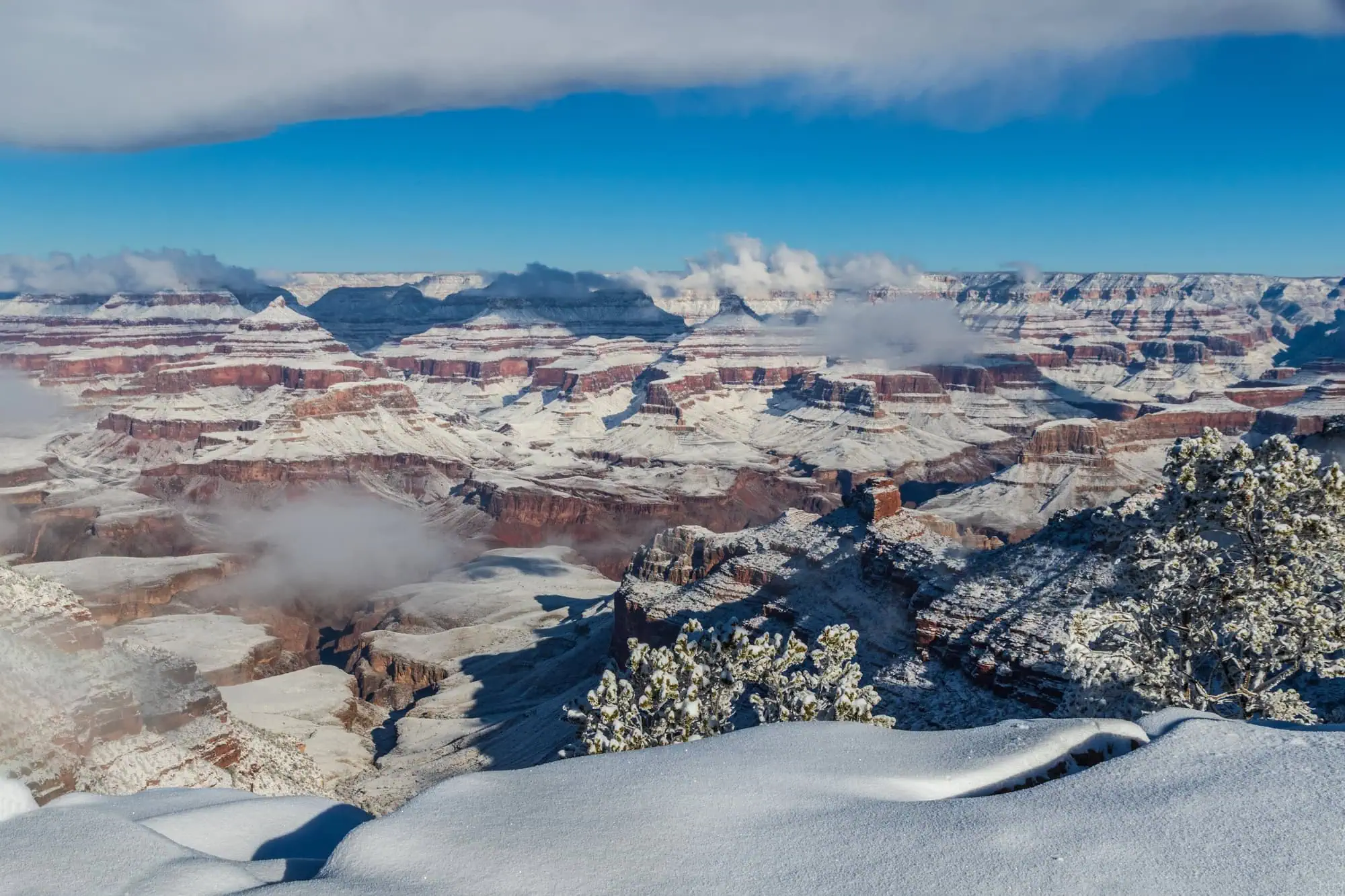 Grand Canyon in inverno Depositphotos 410407878 L