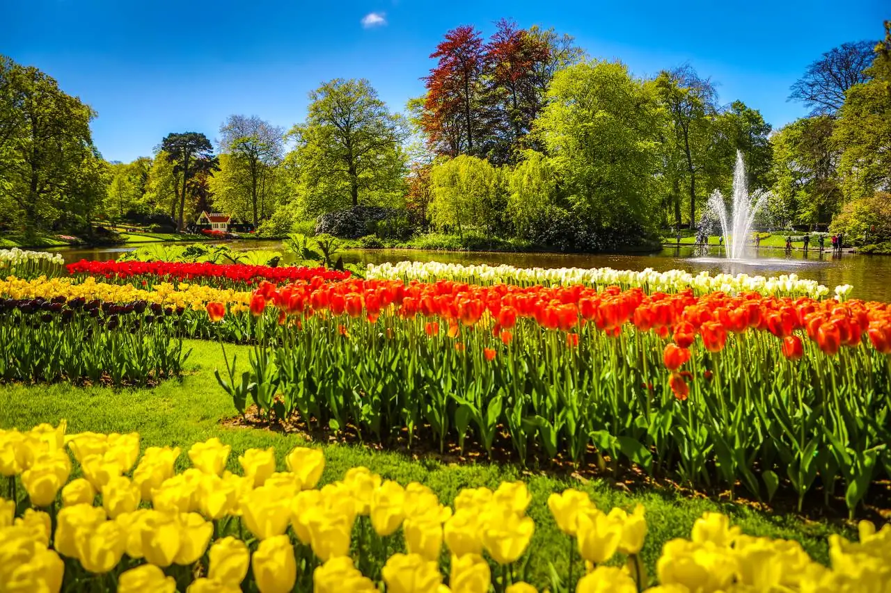 Keukenhof