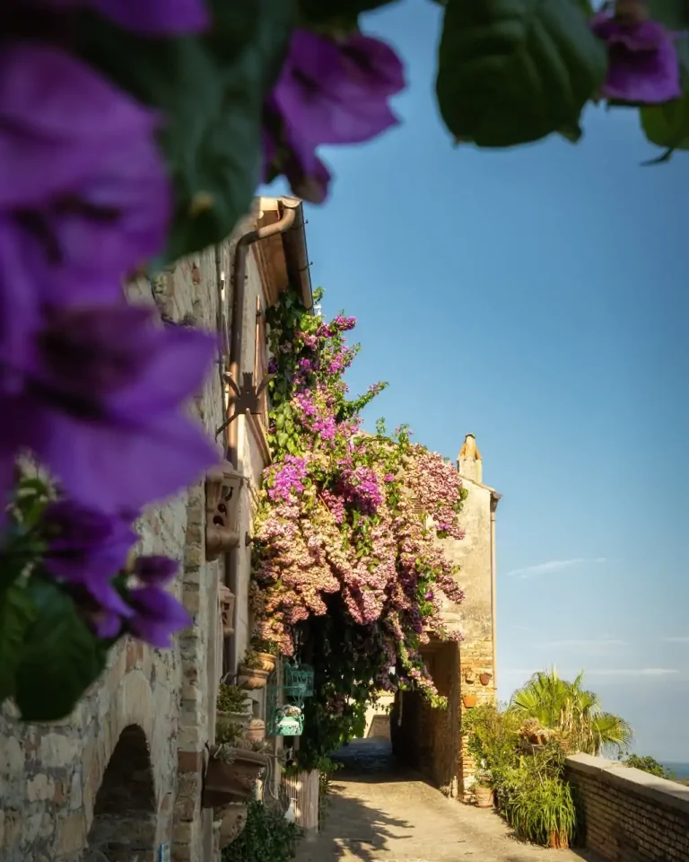 Torre di Palme, Giovanni De Simoni