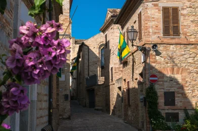 Torre di Palme, Andrea Luciani shutterstock_706366630