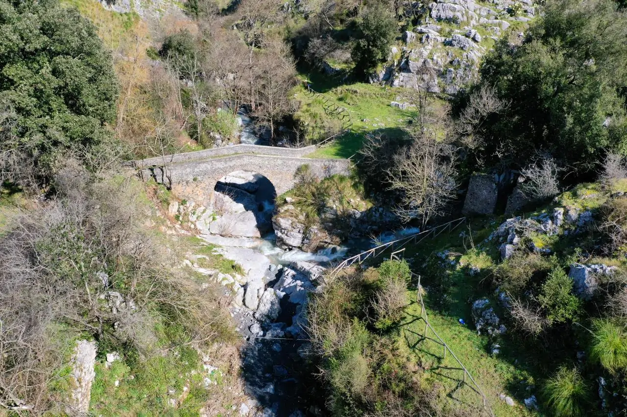 DJI_0200