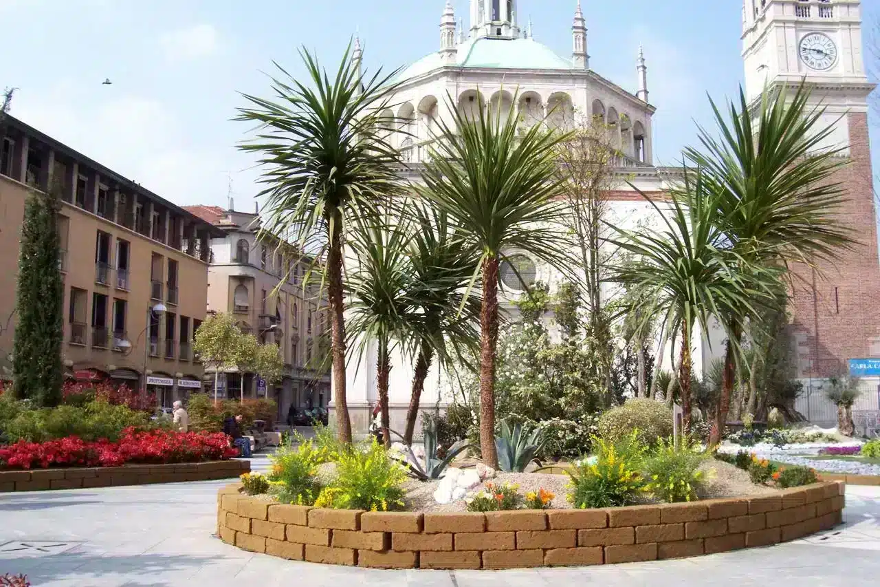 Piazza Santa Maria e il Santuario gianfranco santeramo