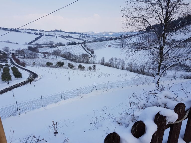 Farmhouse Le Lucciole