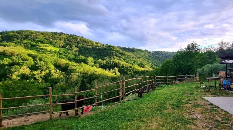 Farmhouse Le Lucciole