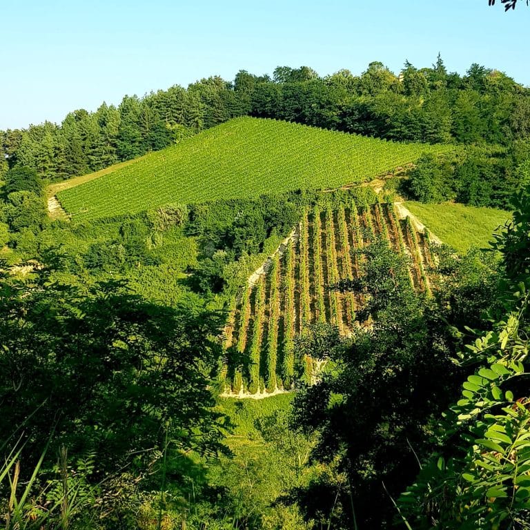 Farmhouse Le Lucciole