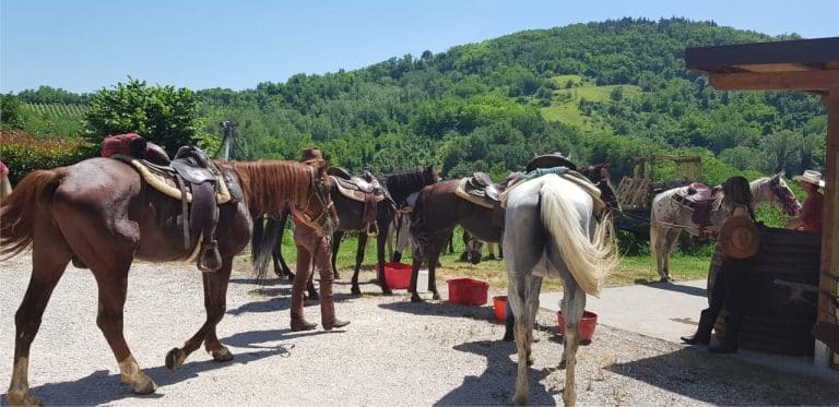 Farmhouse Le Lucciole