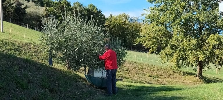 Farmhouse Le Lucciole