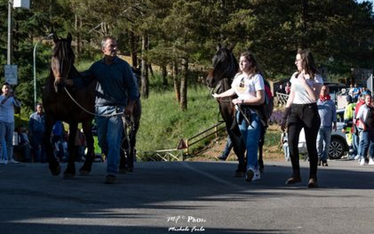 Festival of the Transhumance 1 Festa della transumanza
