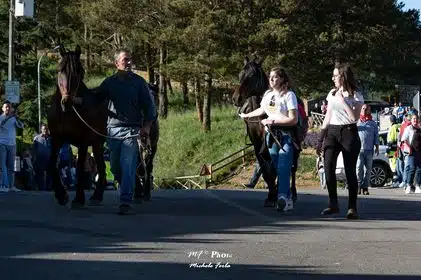 Festa della transumanza