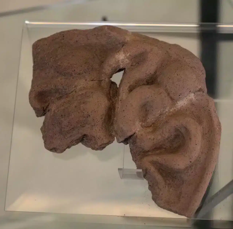 Museo Civico Archeologico di Castro dei Volsci