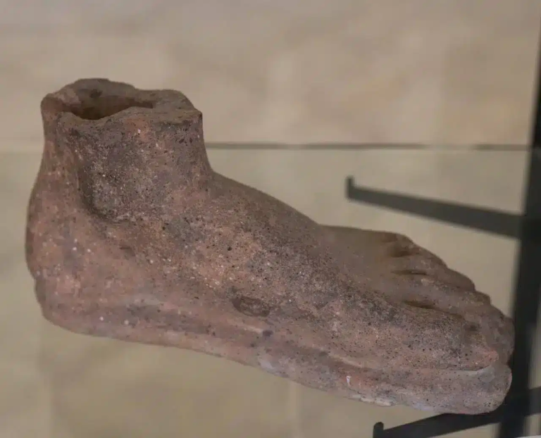Civic Archaeological Museum of Castro dei Volsci