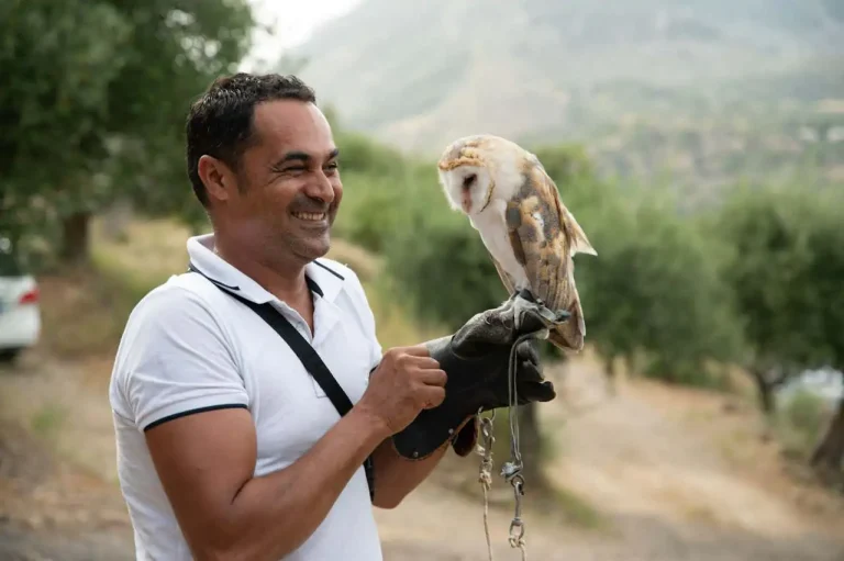 The Amazing World of Raptors