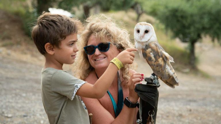 The Amazing World of Raptors