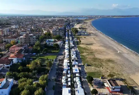 fiera di novembre 7 11zon
