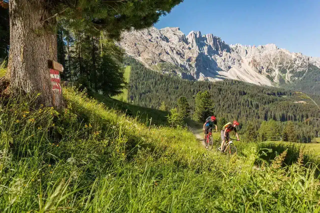 Mountain Bike in Val dEga Eggental Tourismus Jens Staudt