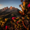 Val dEga Rosengarten Abendrot c Alexandra Nackler