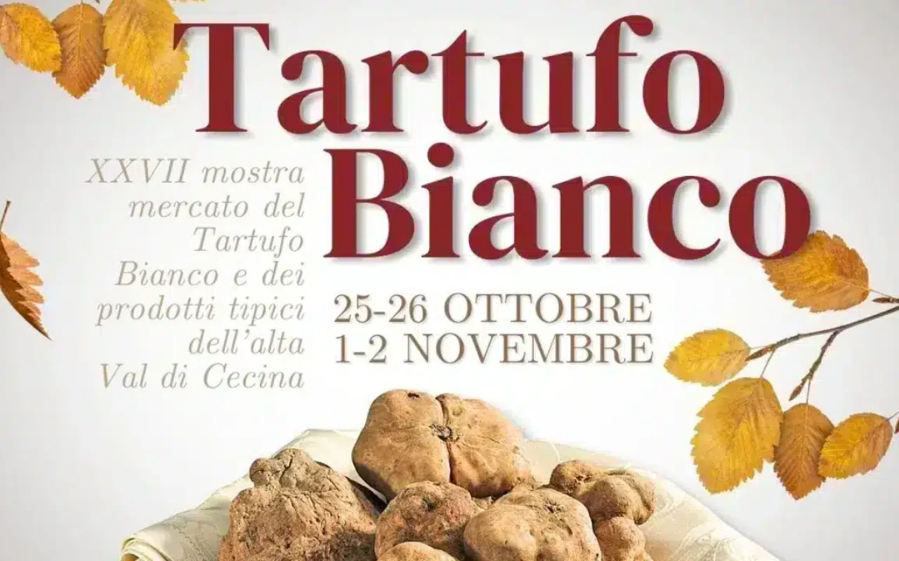 Mostra Mercato del Tartufo Bianco: VOLTERRAGUSTO 1 Volterragusto