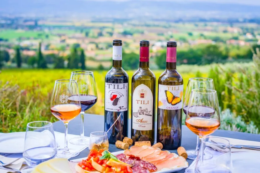 Degustazione con Vista sulla valle di Assisi