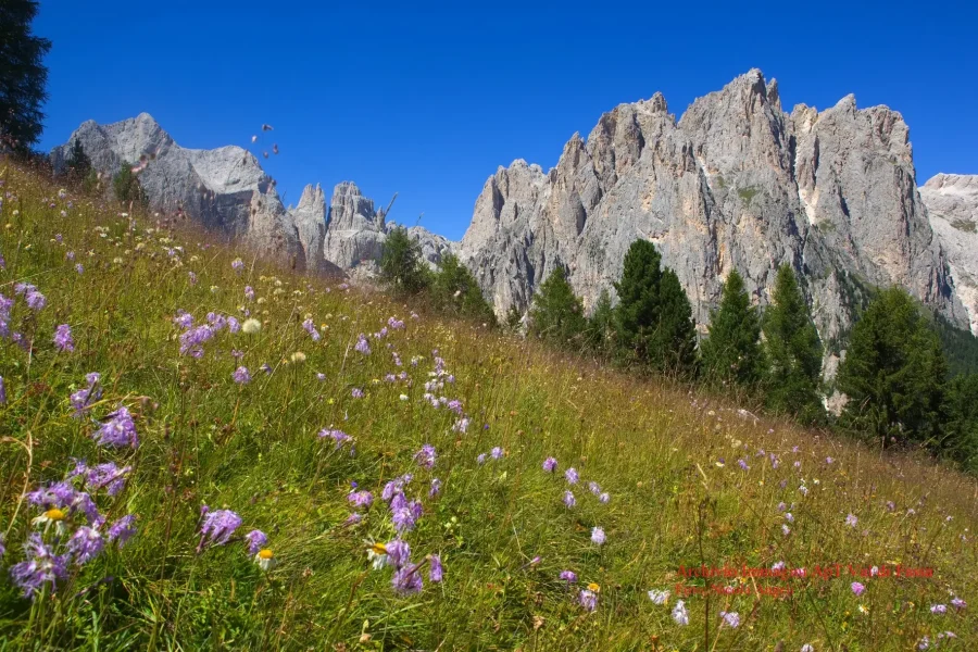 One-day tour in the Dolomites starting from Lake Garda