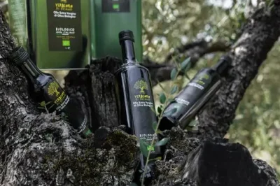 VerdeOro di Soiano Bio: Un viaggio alla scoperta dell’olio extravergine d’oliva