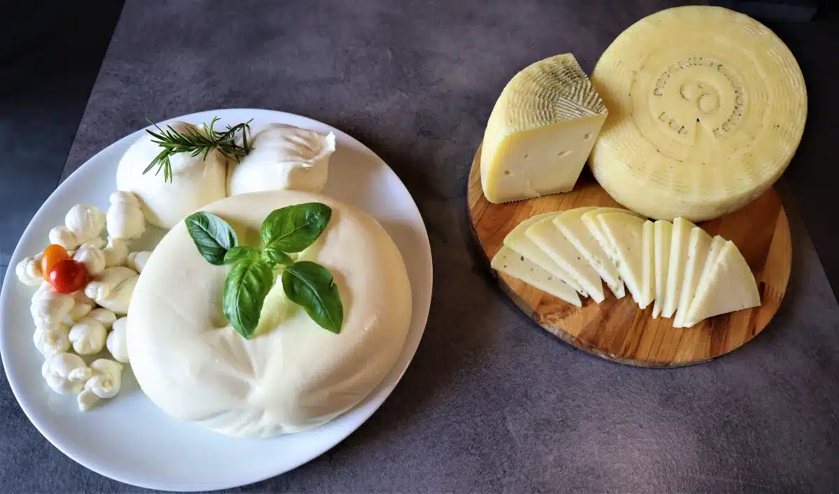 Formaggi pecorino crotonese 1