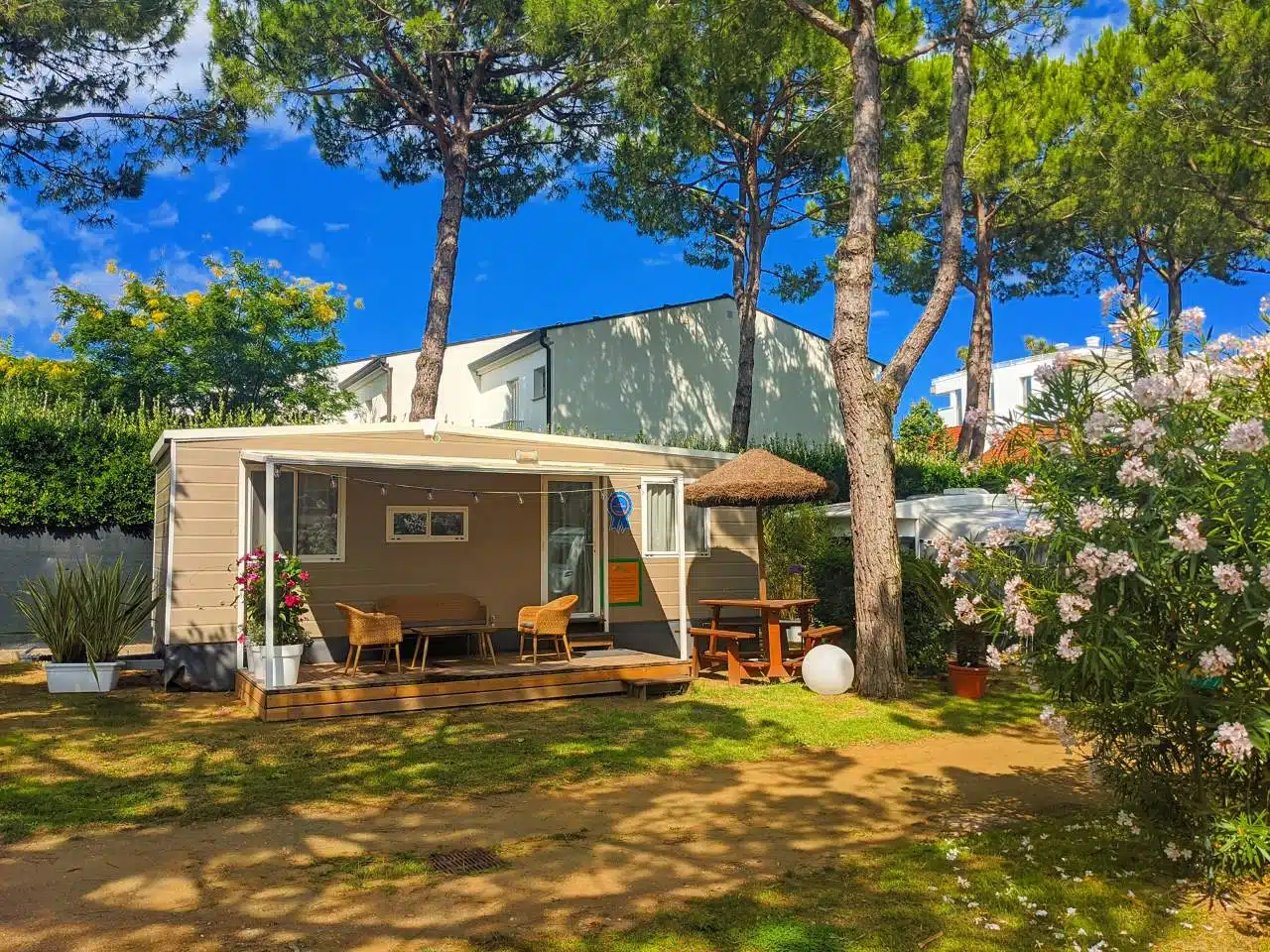 Luxury Camp