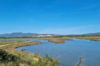 Parco Tepilora 7