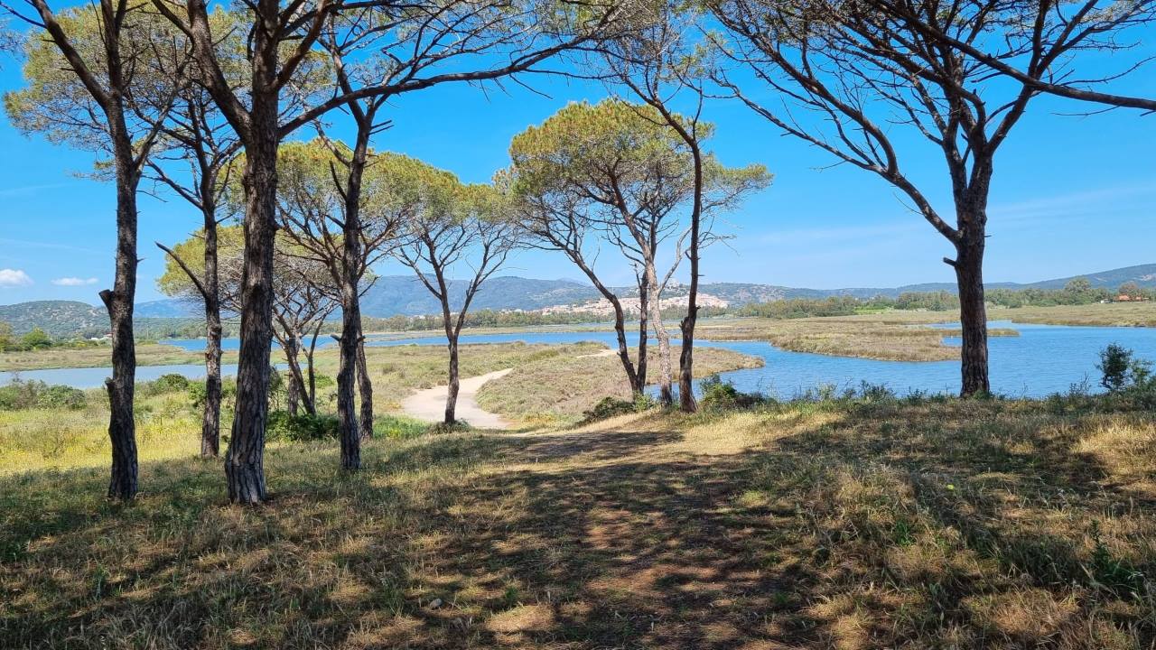 Parco Tepilora 8