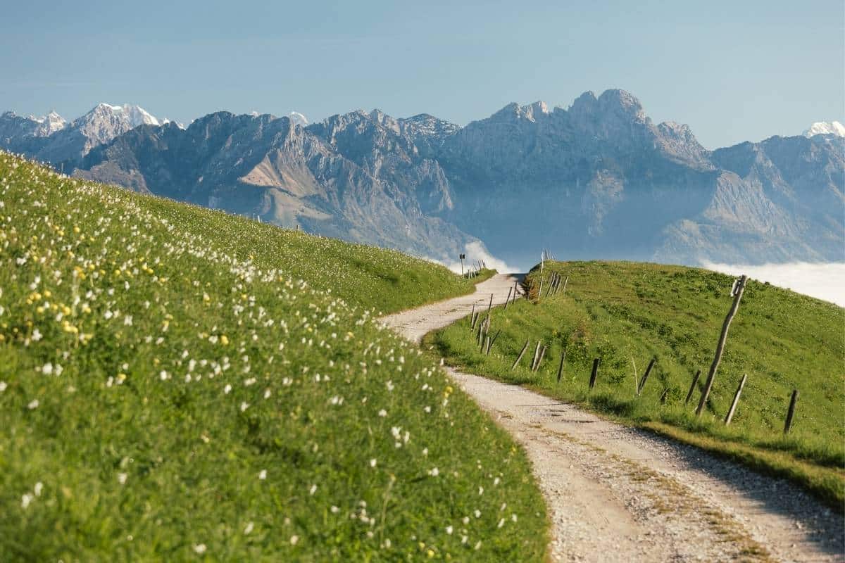 Giornate dei Narcisi 6 Progetto senza titolo 3