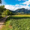 san_cristoforo_giacomello_lungo il Cammino