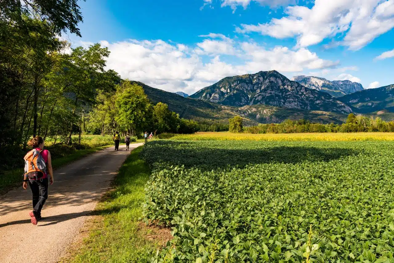 san_cristoforo_giacomello_lungo il Cammino