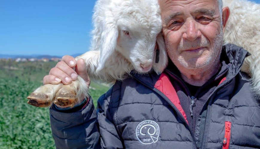Ercole, i Pastori e il Pecorino Crotonese DOP: un’eredità viva tra mito e tradizione