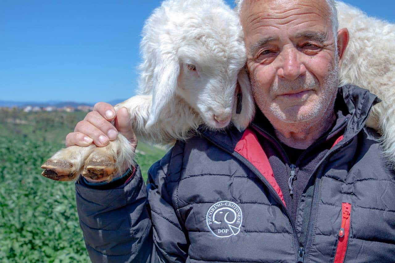 Ercole, i Pastori e il Pecorino Crotonese DOP: un’eredità viva tra mito e tradizione