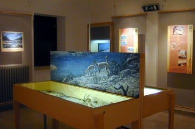 un'esposizione in un museo