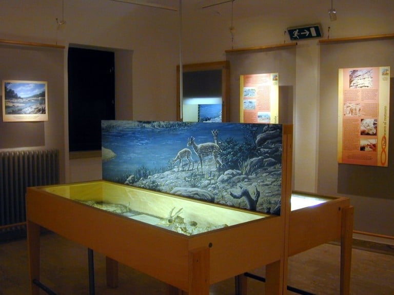 un'esposizione in un museo