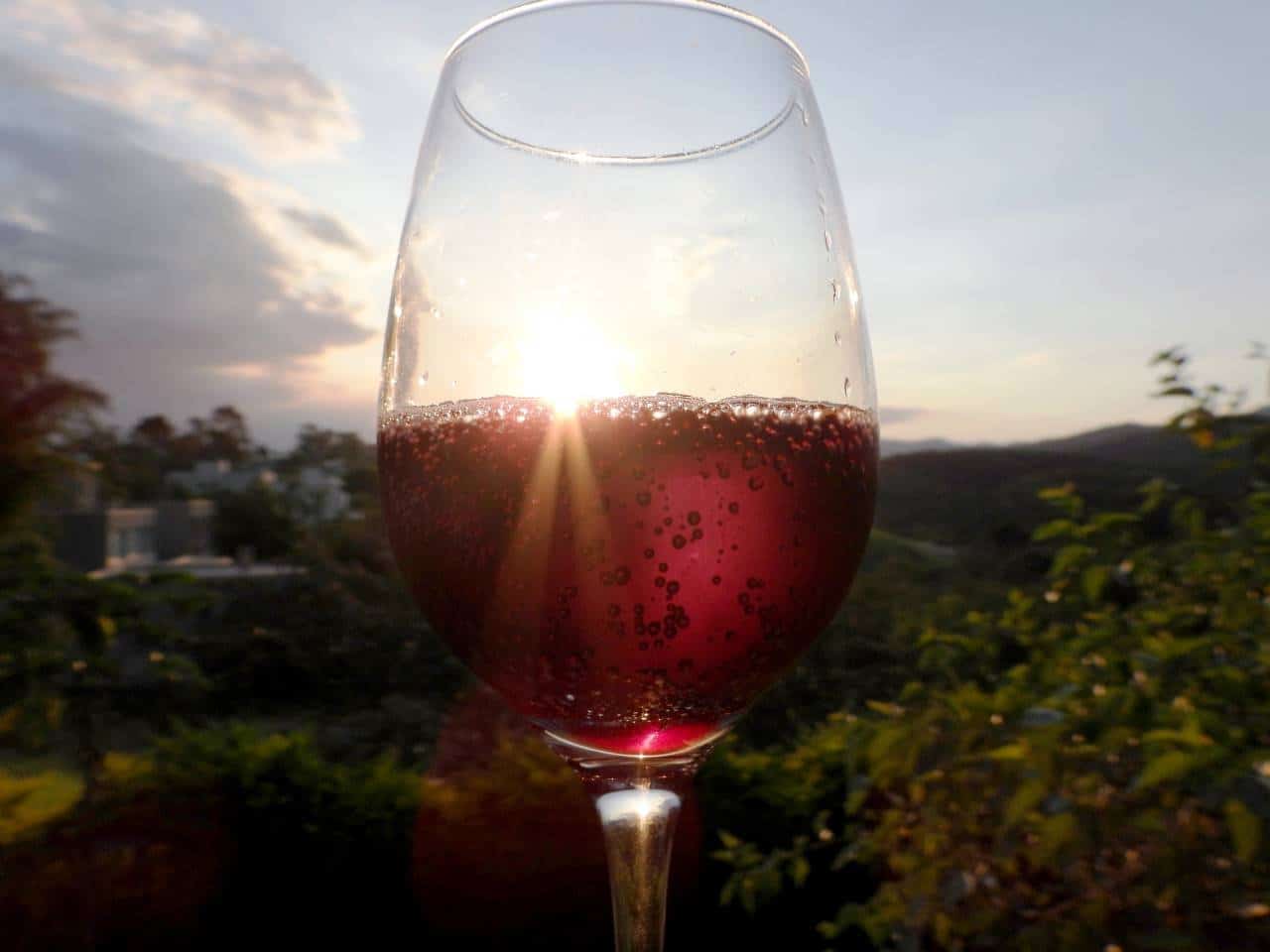 Lambrusco Gasparossa JBEncarnacao shutterstock