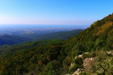 Macchia della Magona-Golazze aperte