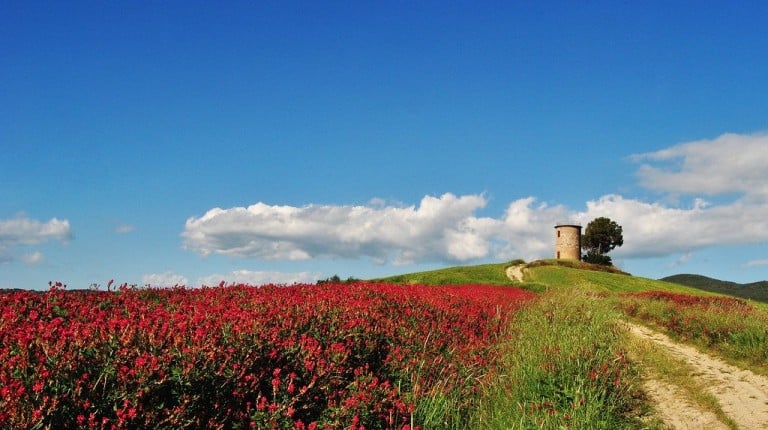 Mulino del Cardellino, Bibbona - foto di Jada