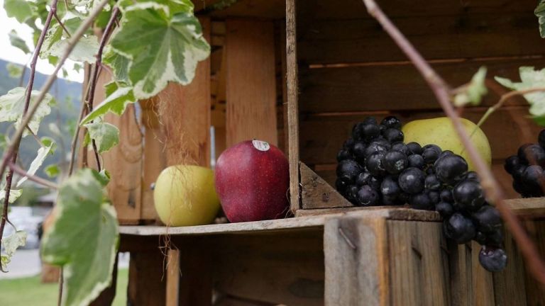 Sagra della mela e dell'Uva a Tirano