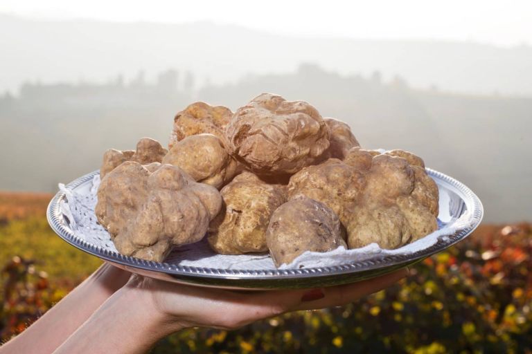 Tartufo