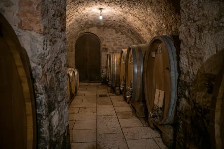 Esperienza autentica tra i vini della Valpolicella Classica: degustazione in cantina tra Amarone e tradizione