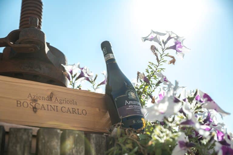 Esperienza autentica tra i vini della Valpolicella Classica: degustazione in cantina tra Amarone e tradizione