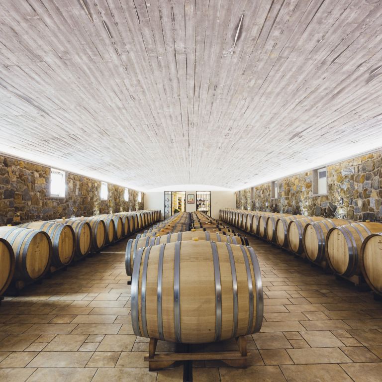 Il Roncal Wine & Resort