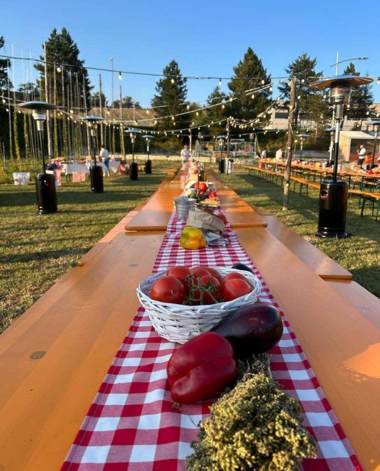 Melise Azienda Agricola