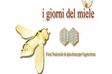 i_giorni_del_miele
